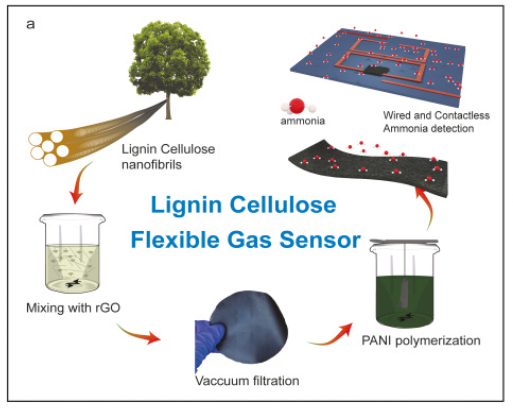 New Article: Flexible, robust, and high-performance gas sensors based ...